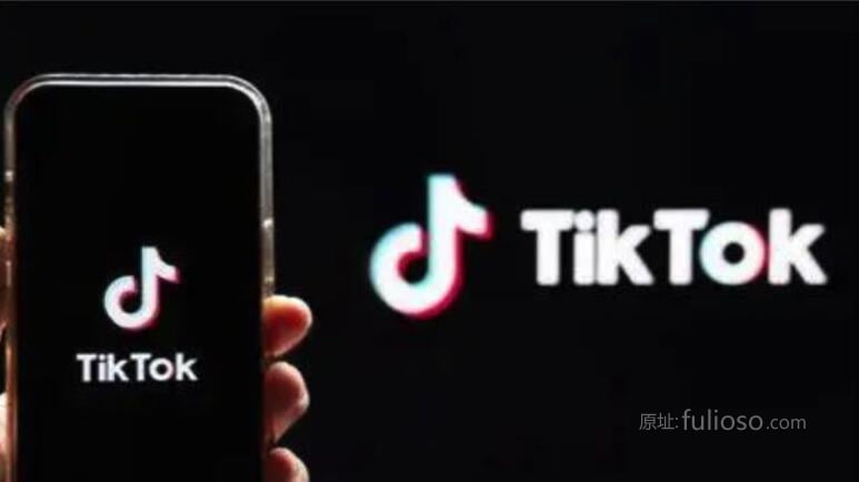 漂亮国明抢TikTok？ - 星星舍